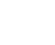 Licensed Payment Provider